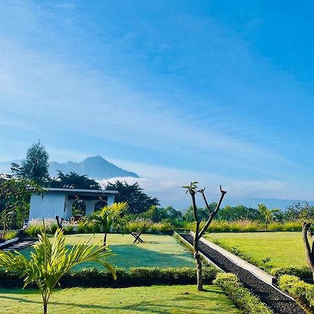 Hillside Bali Bed & Breakfast Kubupenlokan Dış mekan fotoğraf