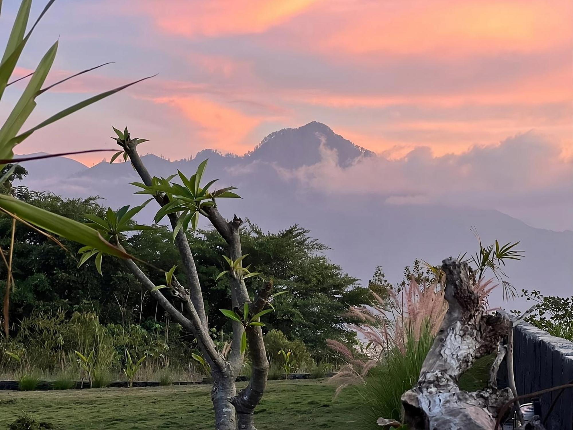 Hillside Bali Bed & Breakfast Kubupenlokan Dış mekan fotoğraf