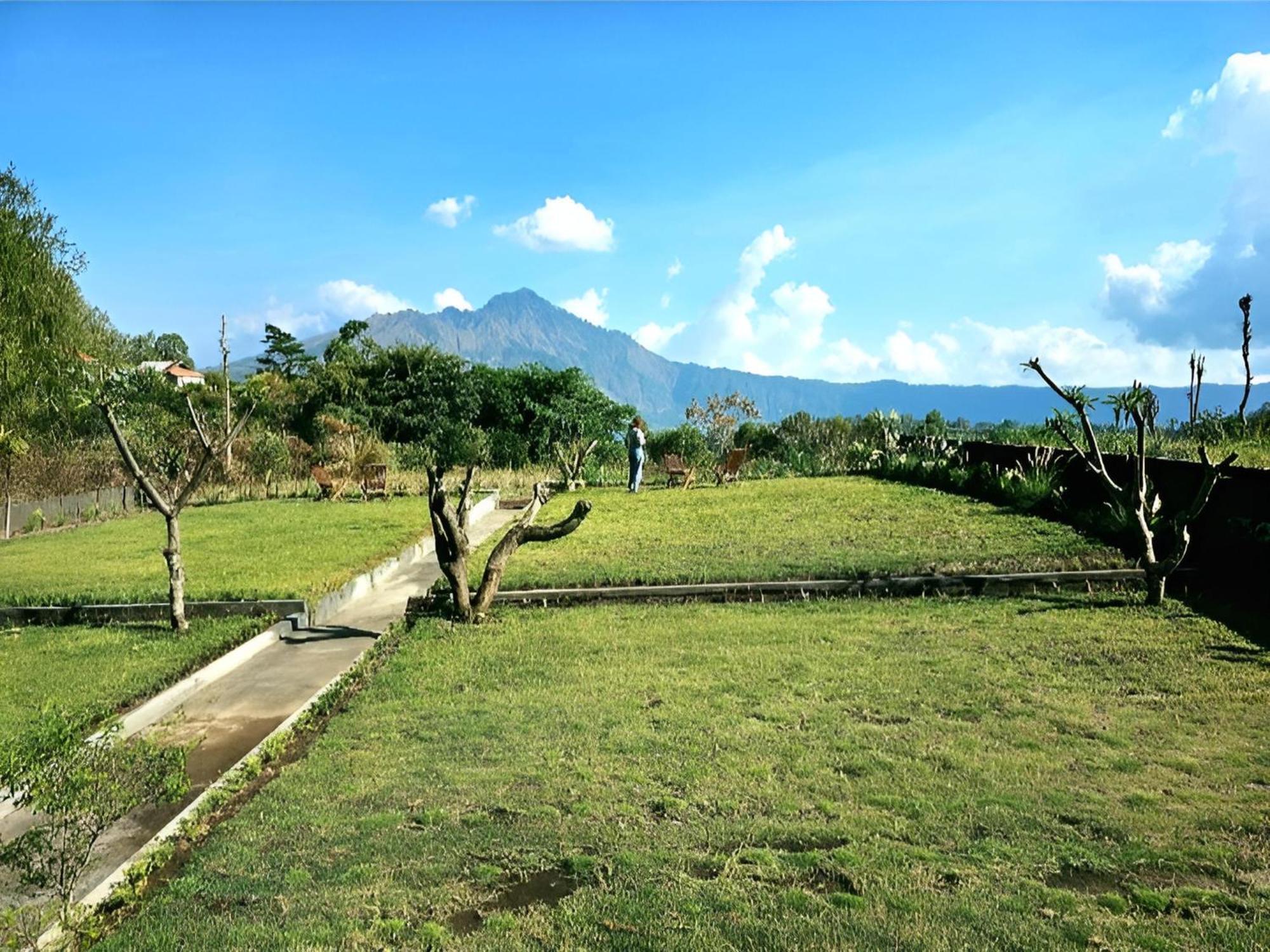 Hillside Bali Bed & Breakfast Kubupenlokan Dış mekan fotoğraf