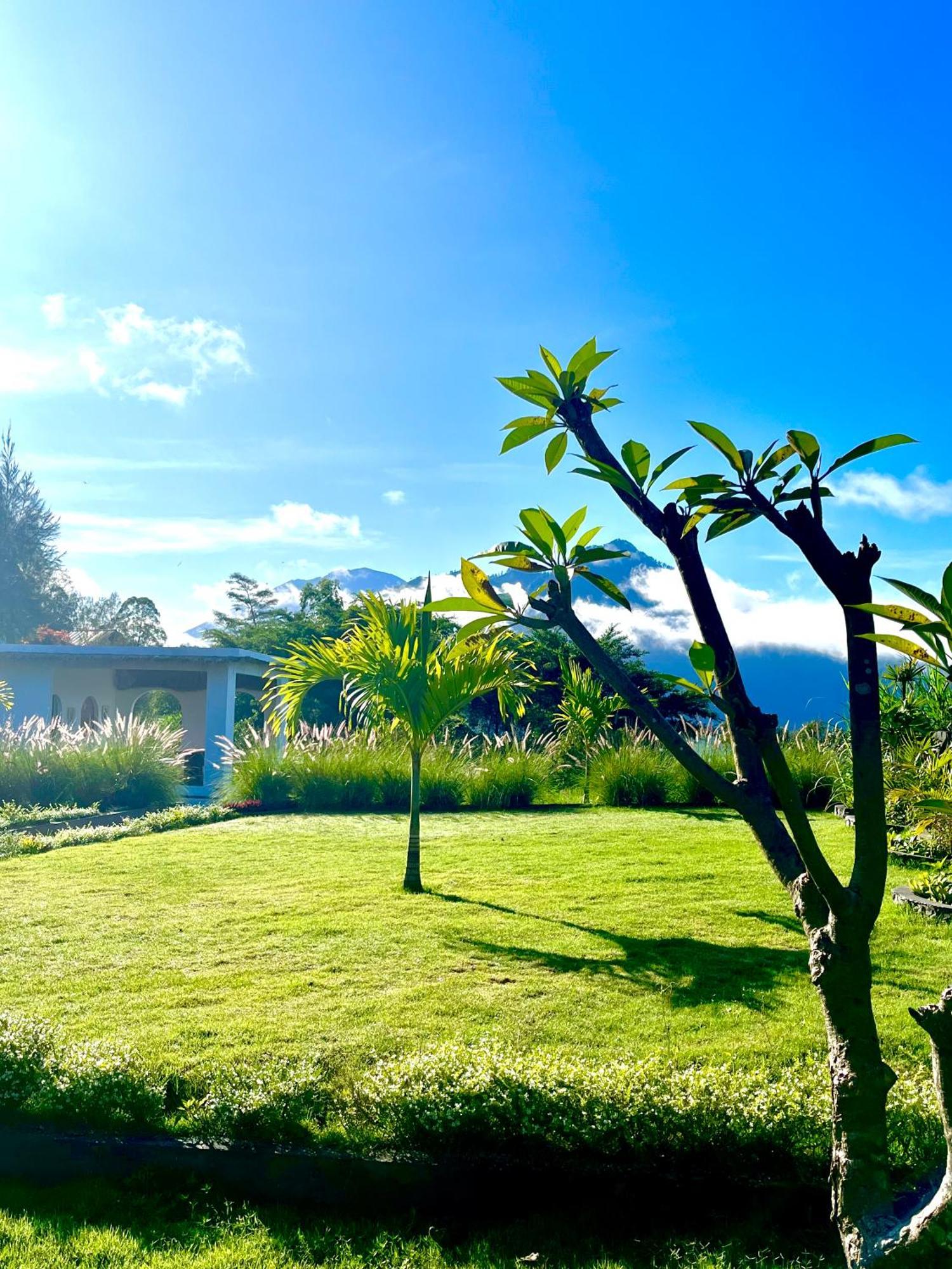 Hillside Bali Bed & Breakfast Kubupenlokan Dış mekan fotoğraf